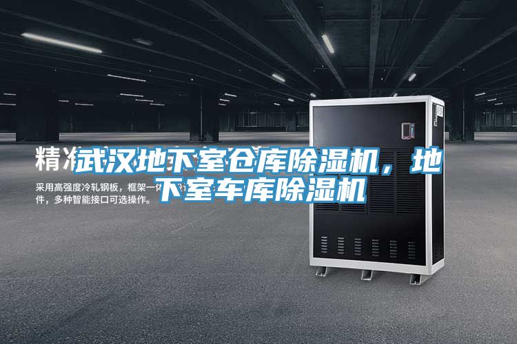 亚洲乱码一区二区三区 武汉地下室仓库除湿机，地下室车库除湿机