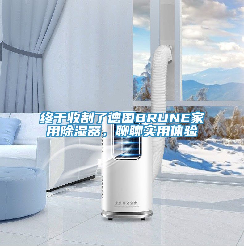 亚洲人成综合第一网站 终于收割了德国BRUNE家用除湿器，聊聊实用体验