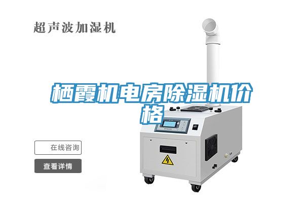 亚洲人成综合第一网站 栖霞机电房除湿机价格