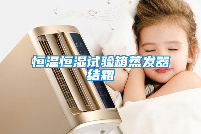 亚洲人成综合第一网站 恒温恒湿试验箱蒸发器结霜