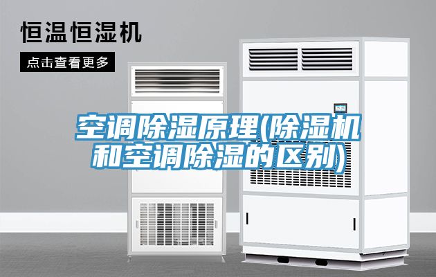 亚洲人成综合第一网站 空调除湿原理(除湿机和空调除湿的区别)