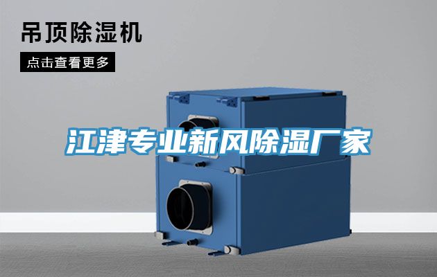 亚洲欧美一级特黄大片 江津专业新风除湿厂家