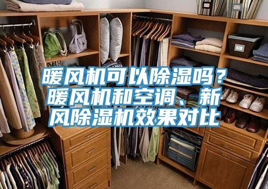 亚洲人成综合第一网站 暖风机可以除湿吗？暖风机和空调、新风除湿机效果对比