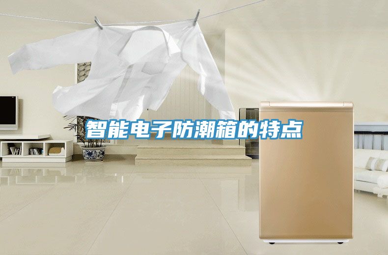 亚洲人成综合第一网站 智能电子防潮箱的特点