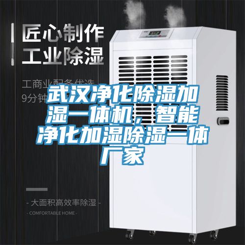 亚洲人成综合第一网站 武汉净化除湿加湿一体机，智能净化加湿除湿一体厂家