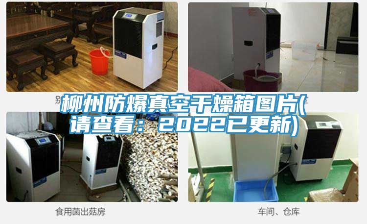 亚洲人成综合第一网站 柳州防爆真空干燥箱图片(请查看：2022已更新)