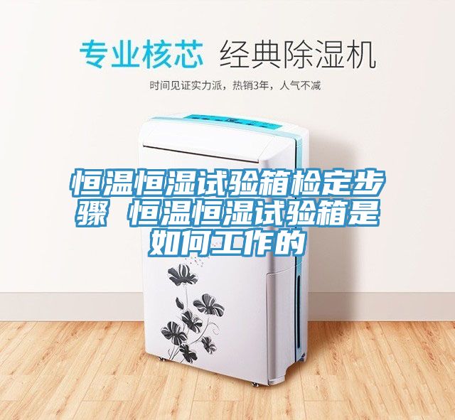 亚洲人成综合第一网站 恒温恒湿试验箱检定步骤 恒温恒湿试验箱是如何工作的