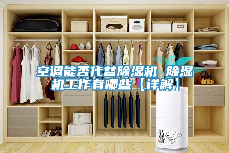 亚洲欧美一级特黄大片 空调能否代替除湿机 除湿机工作有哪些【详解】