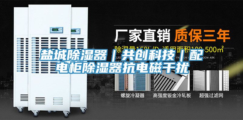 亚洲欧美一级特黄大片 盐城除湿器｜共创科技｜配电柜除湿器抗电磁干扰