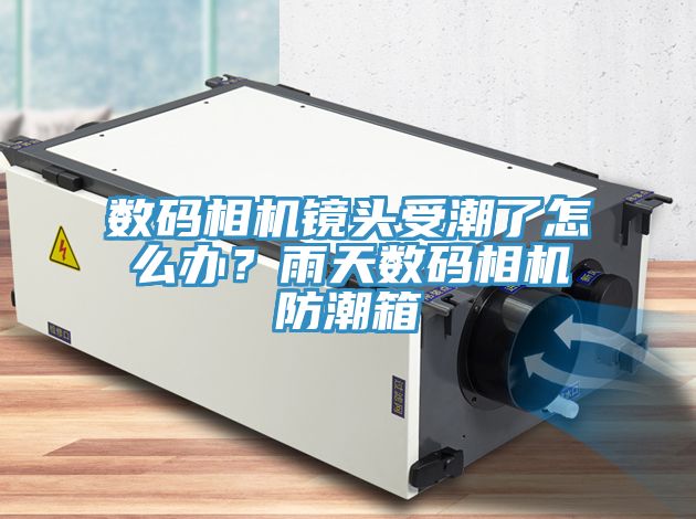 亚洲乱码一区二区三区 数码相机镜头受潮了怎么办？雨天数码相机防潮箱