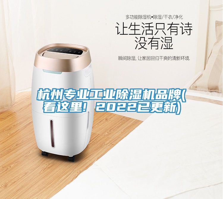 亚洲欧美一级特黄大片 杭州专业工业除湿机品牌(看这里! 2022已更新)