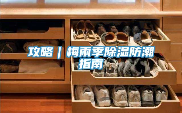 亚洲人成综合第一网站 攻略｜梅雨季除湿防潮指南