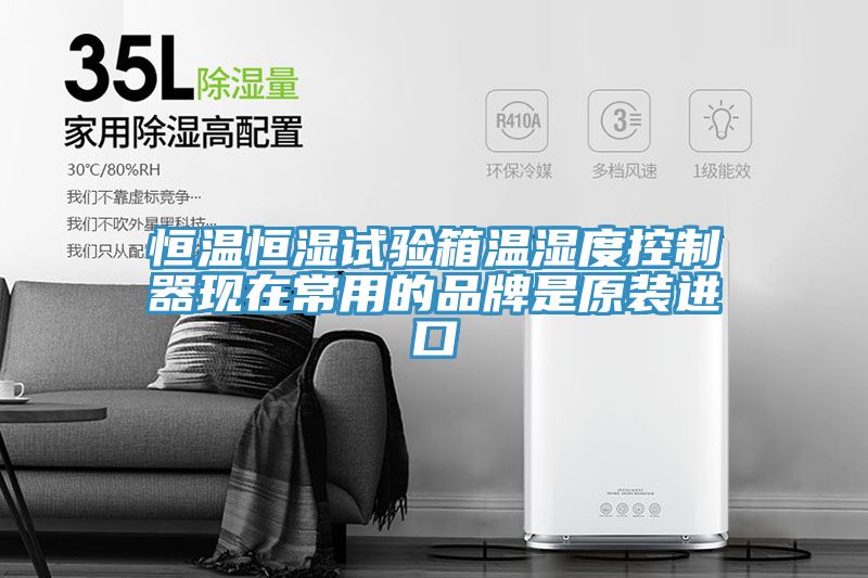 亚洲人成综合第一网站 恒温恒湿试验箱温湿度控制器现在常用的品牌是原装进口