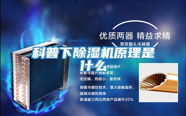 亚洲乱码一区二区三区 科普下除湿机原理是什么