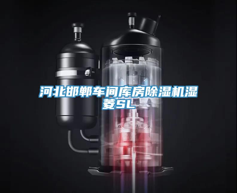 亚洲欧美一级特黄大片 河北邯郸车间库房除湿机湿菱SL