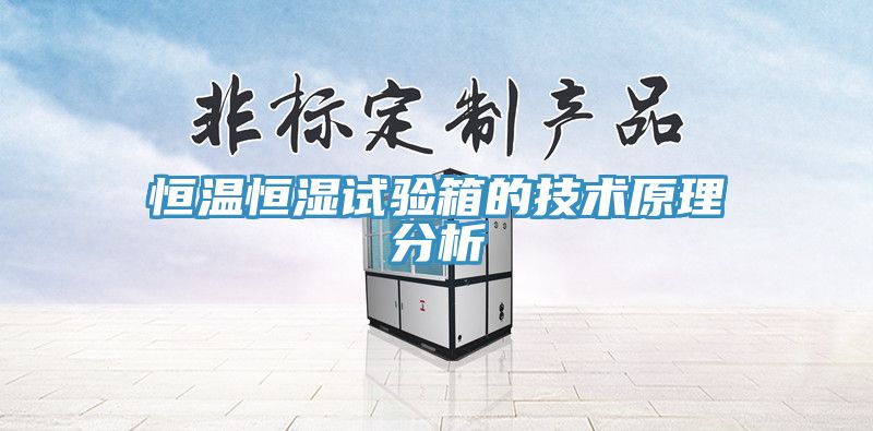 亚洲乱码一区二区三区 恒温恒湿试验箱的技术原理分析