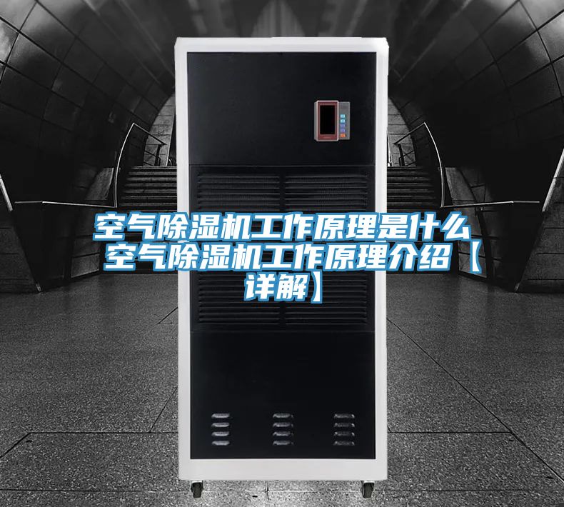 亚洲欧美一级特黄大片 空气除湿机工作原理是什么 空气除湿机工作原理介绍【详解】