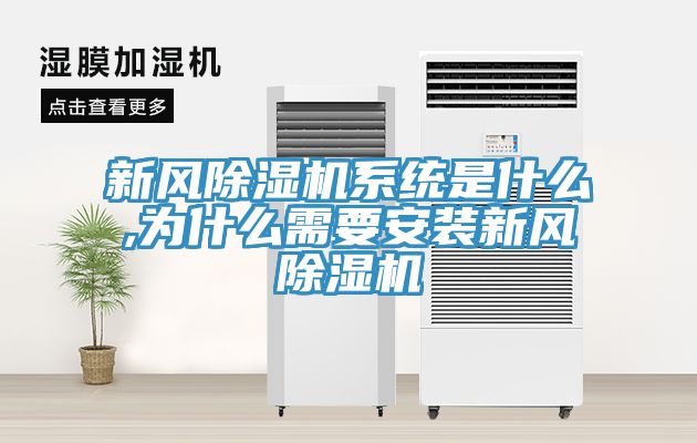 亚洲人成综合第一网站 新风除湿机系统是什么,为什么需要安装新风除湿机