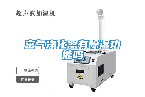 亚洲乱码一区二区三区 空气净化器有除湿功能吗
