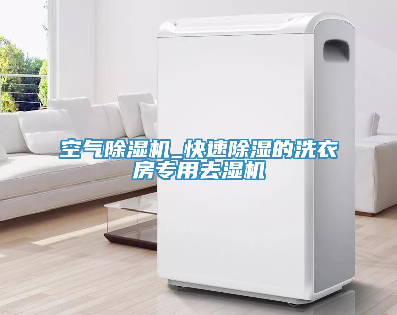亚洲乱码一区二区三区 空气除湿机_快速除湿的洗衣房专用去湿机