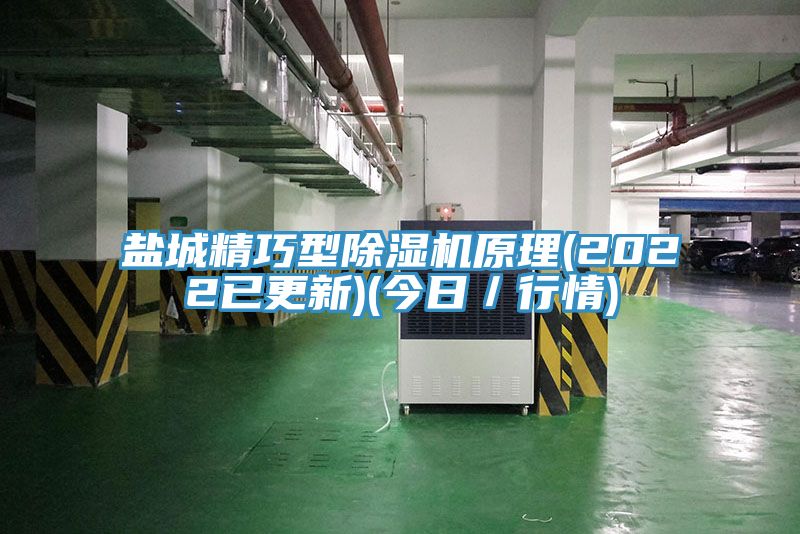 亚洲欧美一级特黄大片 盐城精巧型除湿机原理(2022已更新)(今日／行情)