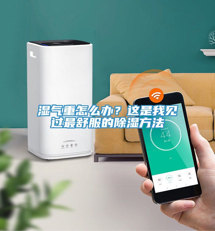 亚洲乱码一区二区三区 湿气重怎么办？这是我见过最舒服的除湿方法