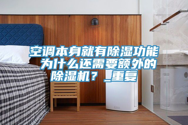 亚洲欧美一级特黄大片 空调本身就有除湿功能 为什么还需要额外的除湿机？_重复