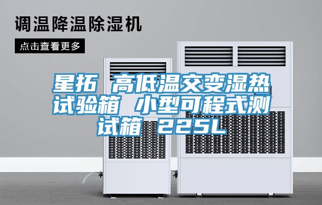 亚洲欧美一级特黄大片 星拓 高低温交变湿热试验箱 小型可程式测试箱 225L