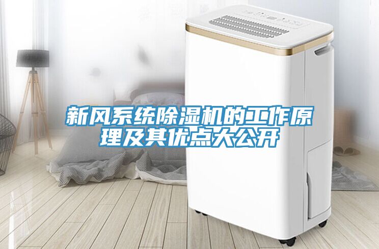 亚洲人成综合第一网站 新风系统除湿机的工作原理及其优点大公开