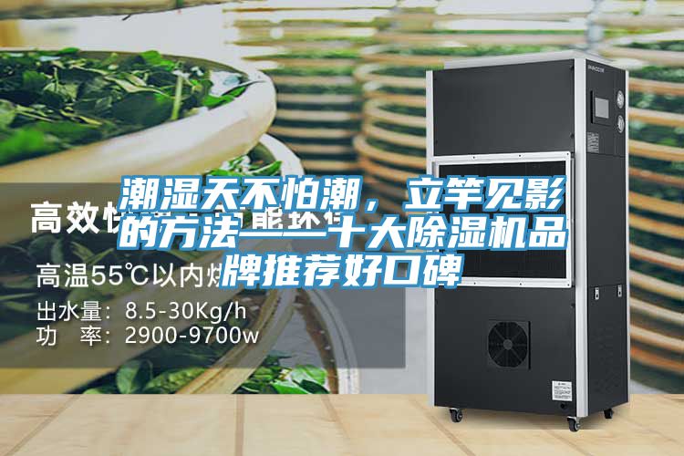 亚洲乱码一区二区三区 潮湿天不怕潮，立竿见影的方法——十大除湿机品牌推荐好口碑