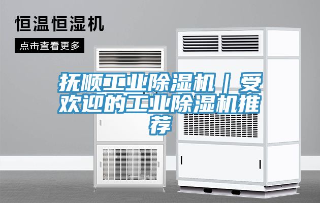 亚洲乱码一区二区三区 抚顺工业除湿机｜受欢迎的工业除湿机推荐