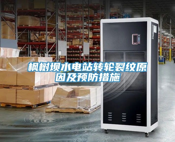 亚洲人成综合第一网站 枫树坝水电站转轮裂纹原因及预防措施