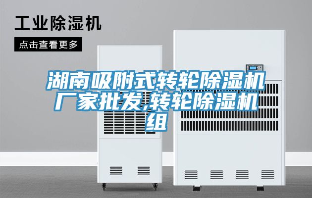 亚洲人成综合第一网站 湖南吸附式转轮除湿机厂家批发,转轮除湿机组