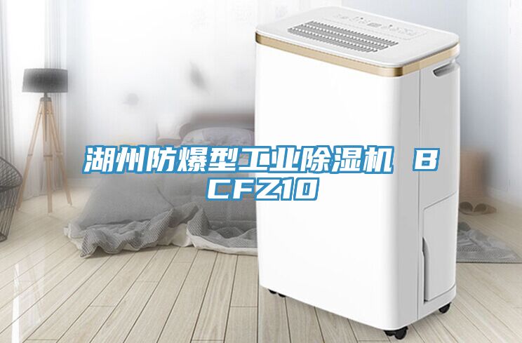亚洲人成综合第一网站 湖州防爆型工业除湿机 BCFZ10