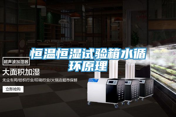 亚洲人成综合第一网站 恒温恒湿试验箱水循环原理
