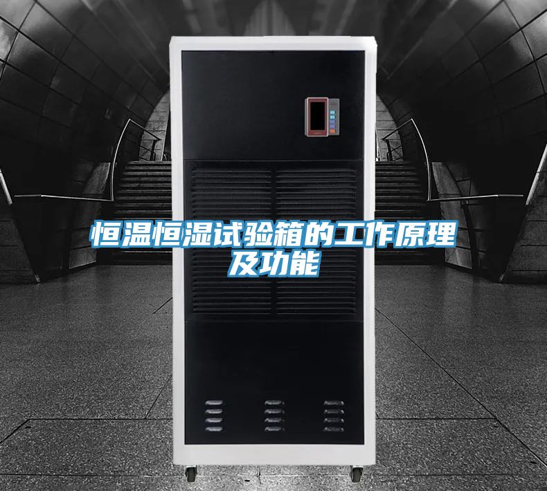 亚洲人成综合第一网站 恒温恒湿试验箱的工作原理及功能