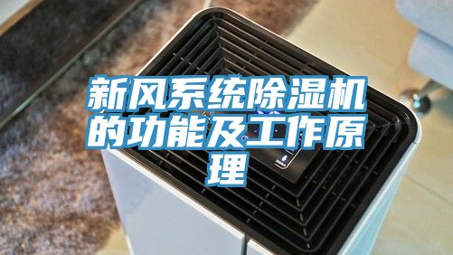 亚洲欧美一级特黄大片 新风系统除湿机的功能及工作原理