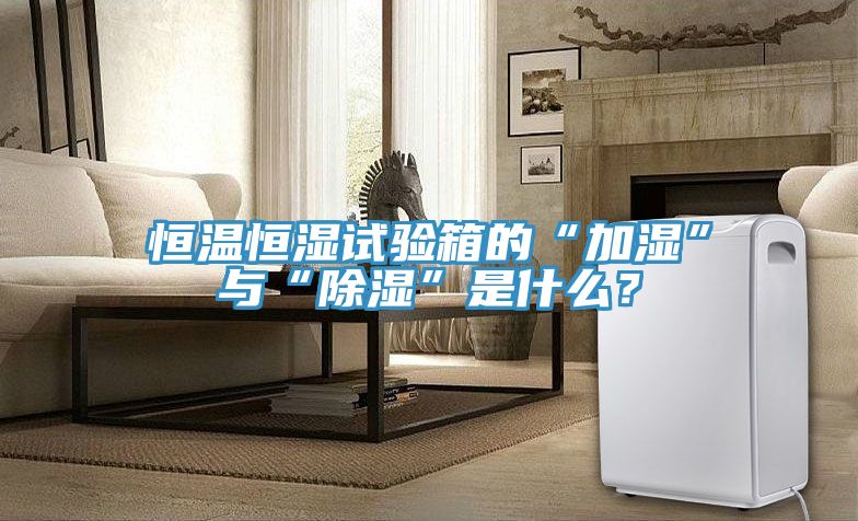 亚洲欧美一级特黄大片 恒温恒湿试验箱的“加湿”与“除湿”是什么？
