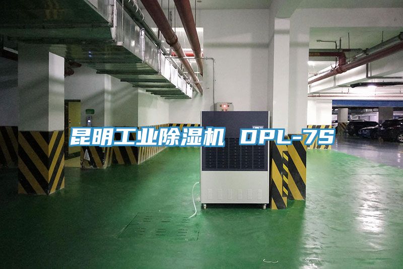 亚洲欧美一级特黄大片 昆明工业除湿机 DPL-7S
