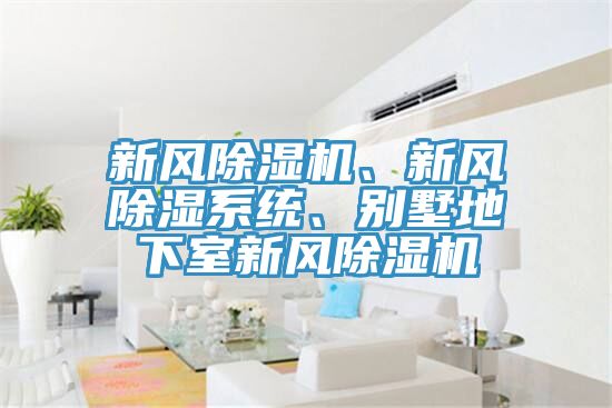 亚洲人成综合第一网站 新风除湿机、新风除湿系统、别墅地下室新风除湿机