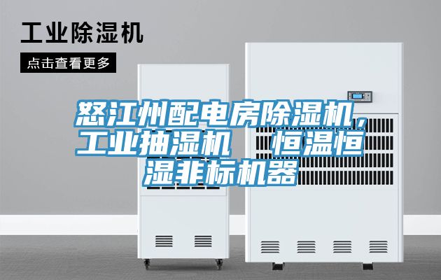 亚洲人成综合第一网站 怒江州配电房除湿机，工业抽湿机  恒温恒湿非标机器