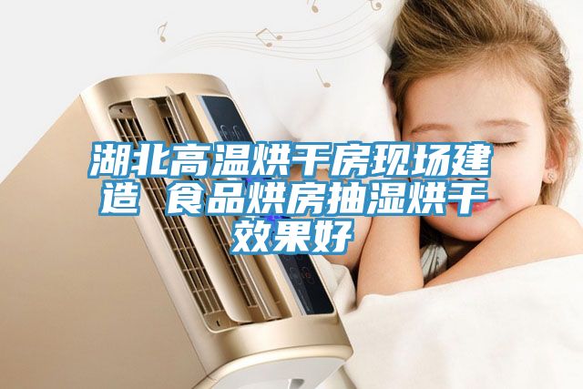 亚洲人成综合第一网站 湖北高温烘干房现场建造 食品烘房抽湿烘干效果好