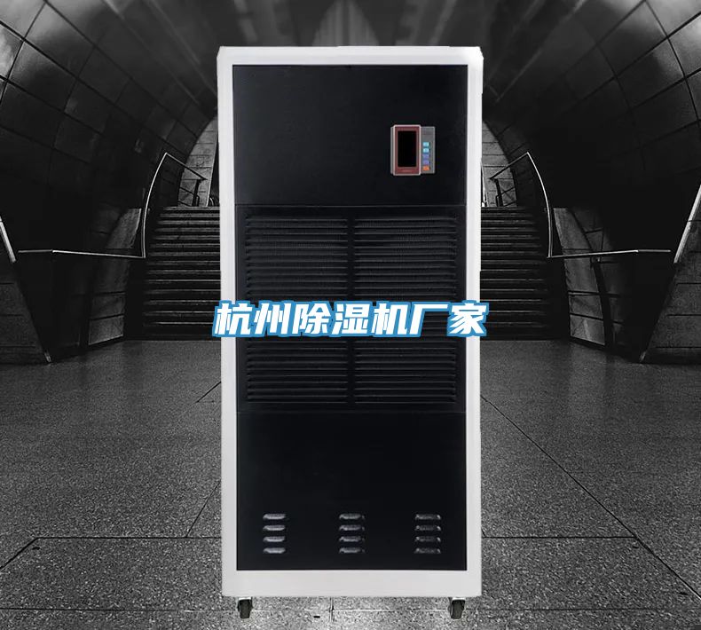 亚洲欧美一级特黄大片 杭州除湿机厂家
