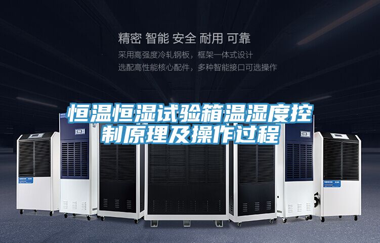 亚洲欧美一级特黄大片 恒温恒湿试验箱温湿度控制原理及操作过程