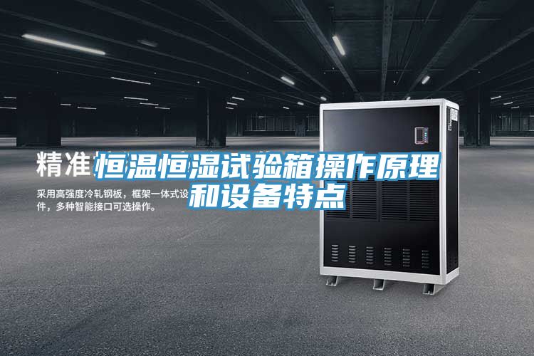 亚洲乱码一区二区三区 恒温恒湿试验箱操作原理和设备特点