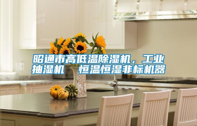 亚洲欧美一级特黄大片 昭通市高低温除湿机，工业抽湿机  恒温恒湿非标机器