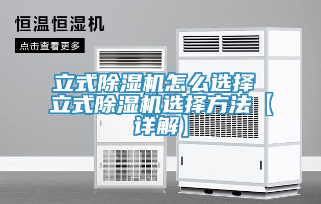 亚洲人成综合第一网站 立式除湿机怎么选择 立式除湿机选择方法【详解】