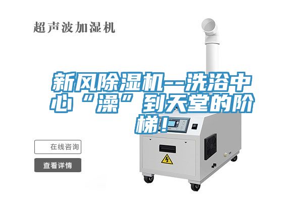 亚洲欧美一级特黄大片 新风除湿机--洗浴中心“澡”到天堂的阶梯！