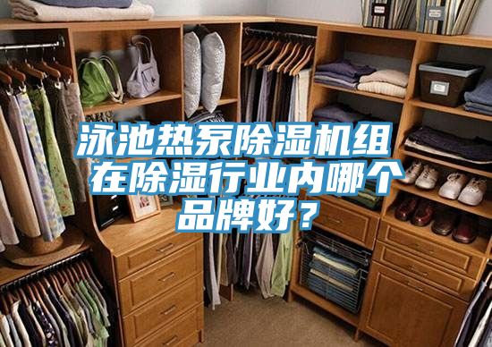 亚洲人成综合第一网站 泳池热泵除湿机组 在除湿行业内哪个品牌好？