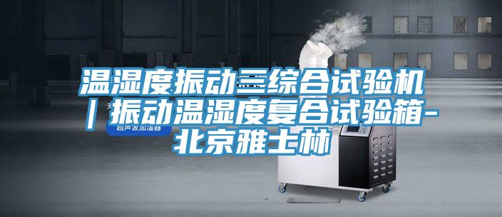 亚洲人成综合第一网站 温湿度振动三综合试验机｜振动温湿度复合试验箱-北京雅士林